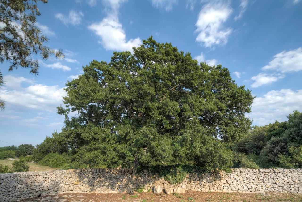 Villa Trulli Capo Di Lupo By Rentbeat Cisternino Exterior foto
